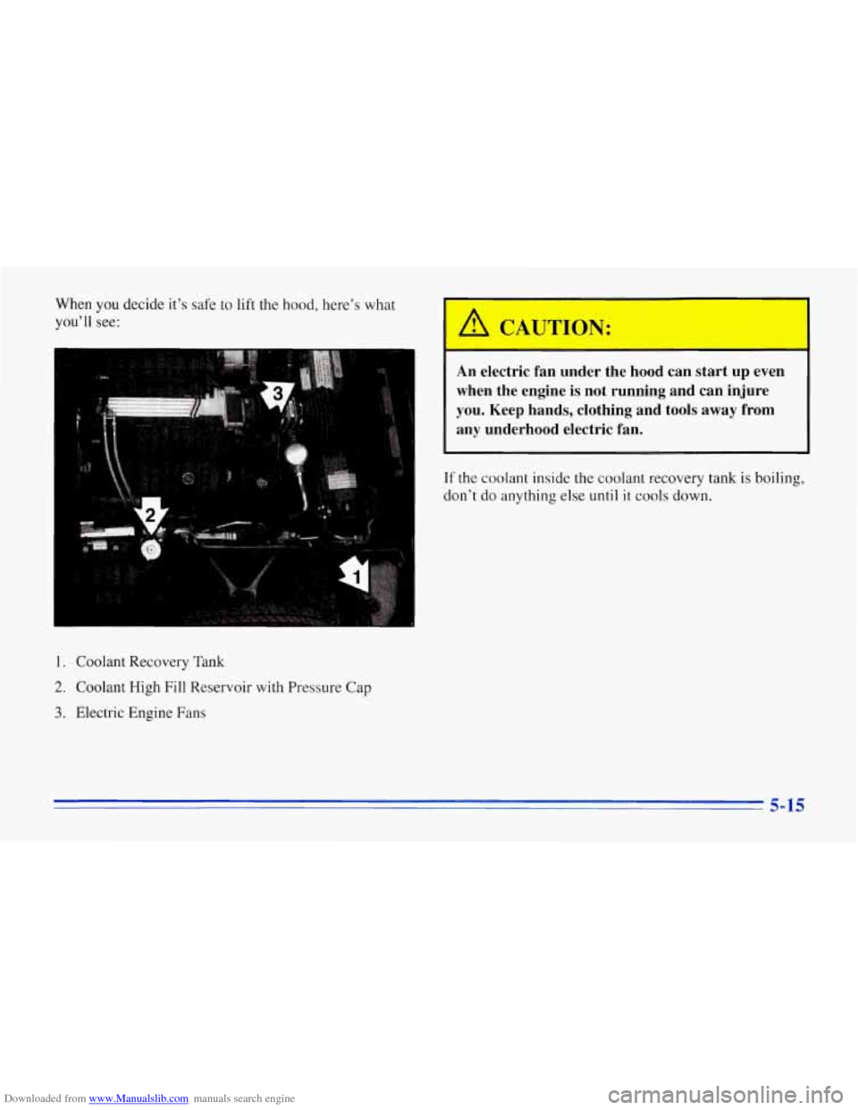 CHEVROLET CORVETTE 1996 4.G Owners Manual Downloaded from www.Manualslib.com manuals search engine When  you decide  it’s  safe  to lift the  hood,  here’s  what 
you’ll  see: 
An  electric  fan  under  the  hood  can  start  up  even 
