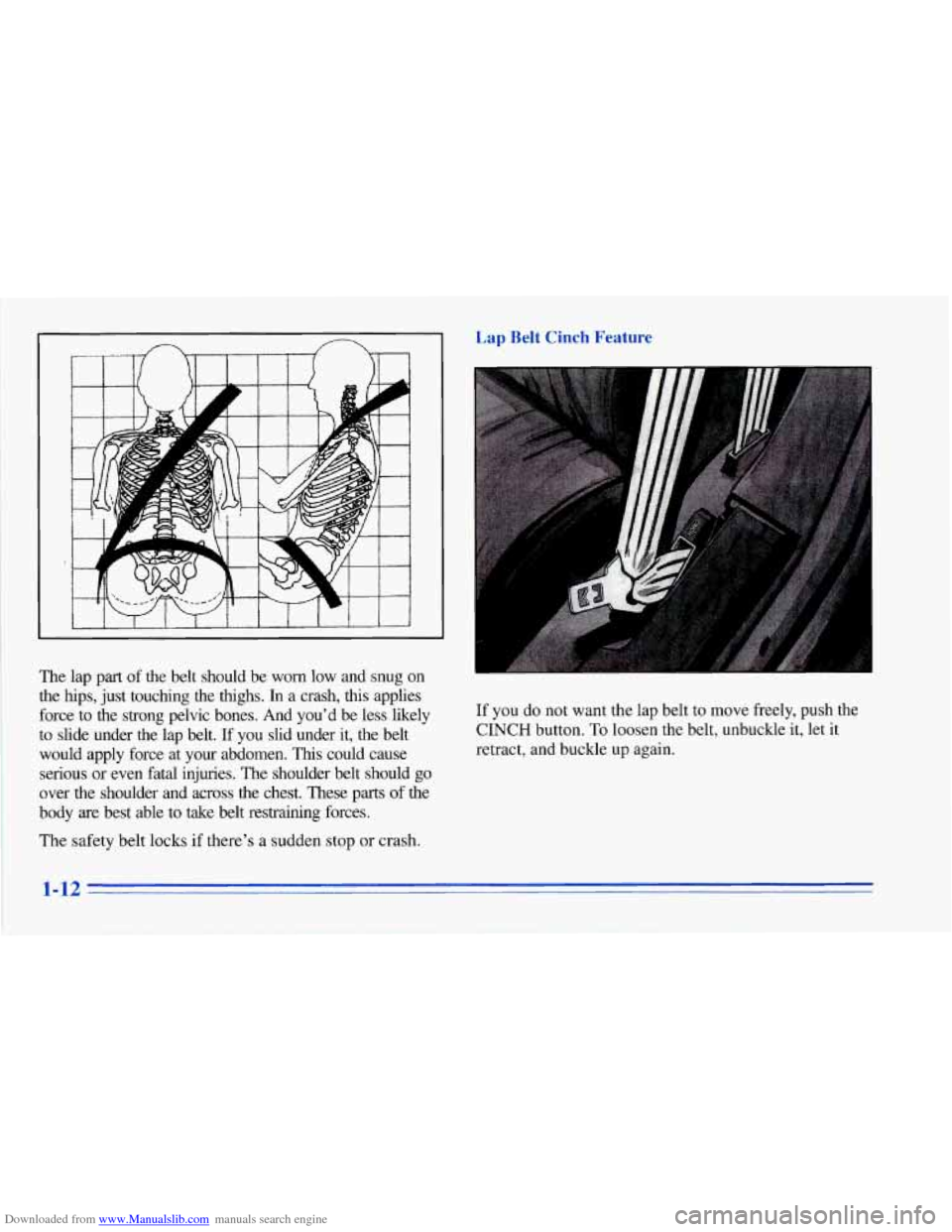 CHEVROLET CORVETTE 1996 4.G Owners Manual Downloaded from www.Manualslib.com manuals search engine The lap part of  the  belt  should  be  worn  low  and  snug on 
the  hips,  just  touching  the  thighs.  In  a  crash, &us applies 
force  to