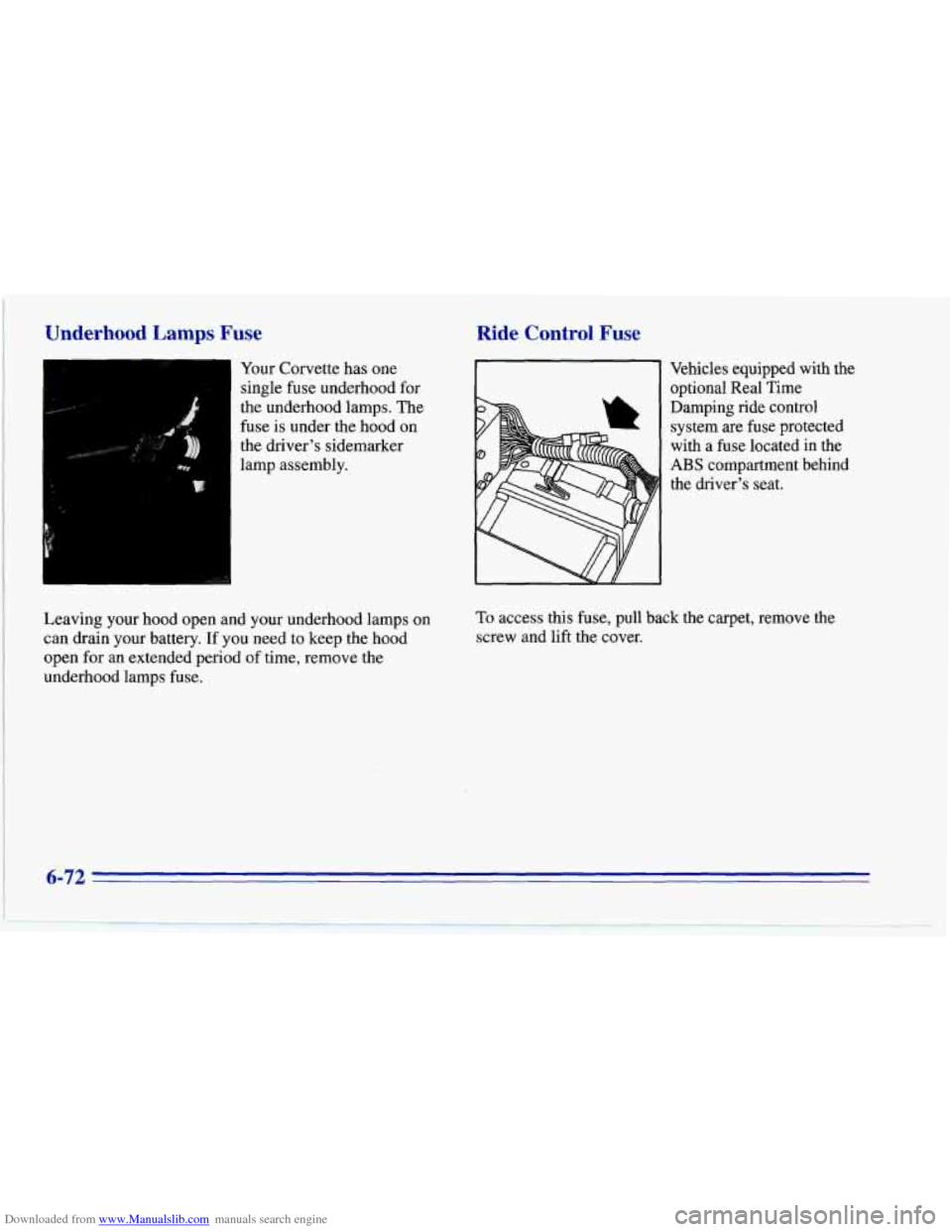 CHEVROLET CORVETTE 1996 4.G Owners Manual Downloaded from www.Manualslib.com manuals search engine Underhood Lamps Fuse 
Your Corvette has  one 
I single fuse underhood for 
the underhood lamps. 
The 
fuse  is under the hood  on 
the driver