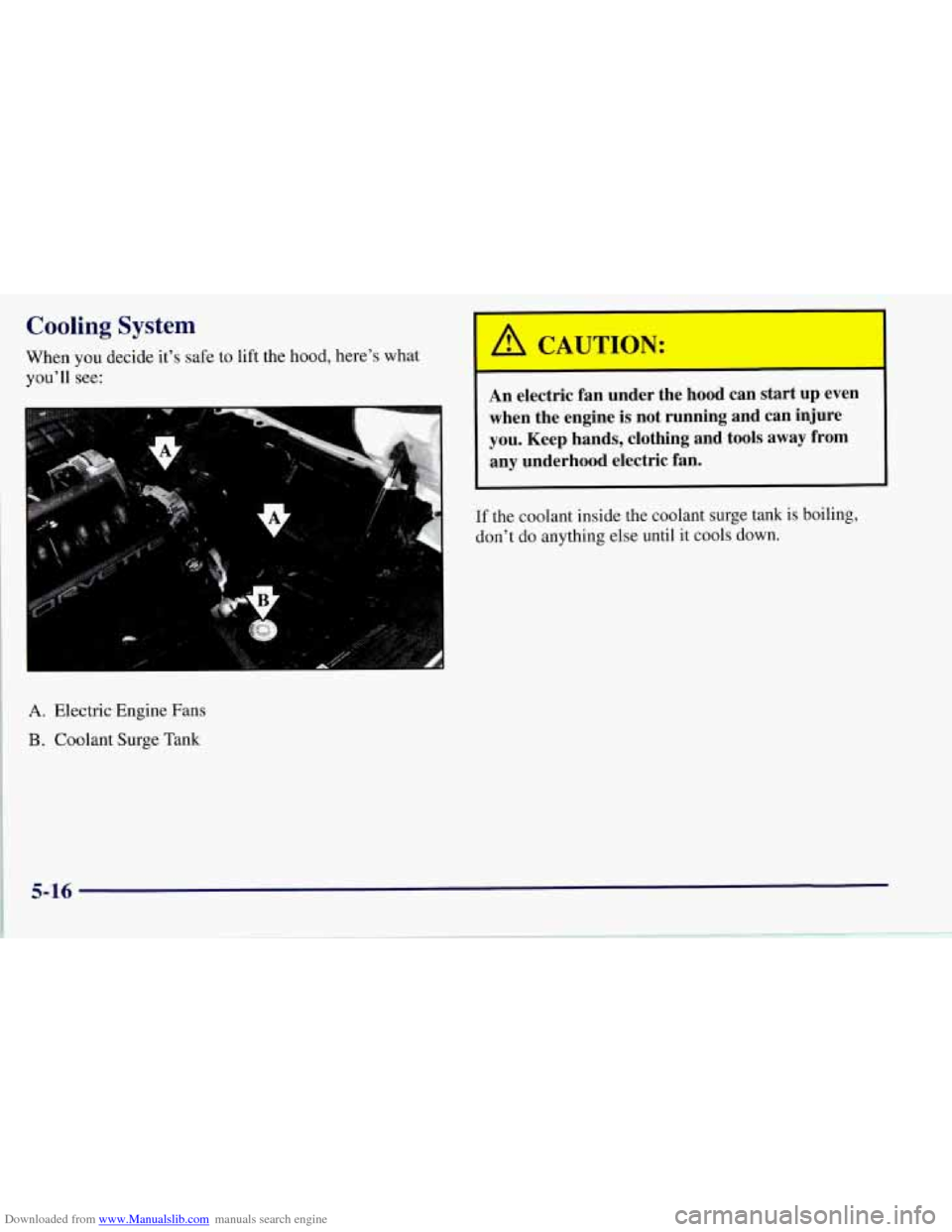 CHEVROLET CORVETTE 1997 5.G Owners Manual Downloaded from www.Manualslib.com manuals search engine Cooling System 
When you decide it’s safe  to lift  the hood, here’s what 
you’ll  see: 
A. Electric  Engine Fans 
B. Coolant Surge Tank 
