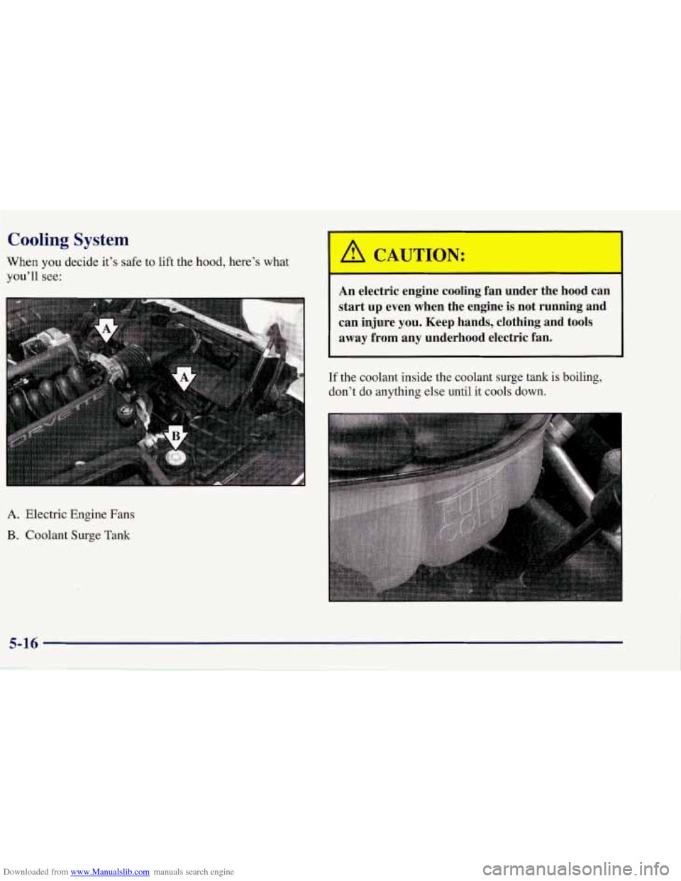 CHEVROLET CORVETTE 1998 5.G Owners Manual Downloaded from www.Manualslib.com manuals search engine Cooling System 
When you  decide  it’s safe  to lift  the  hood, here’s what 
you’ll 
see: 
An  electric  engine  cooling  fan  under  th