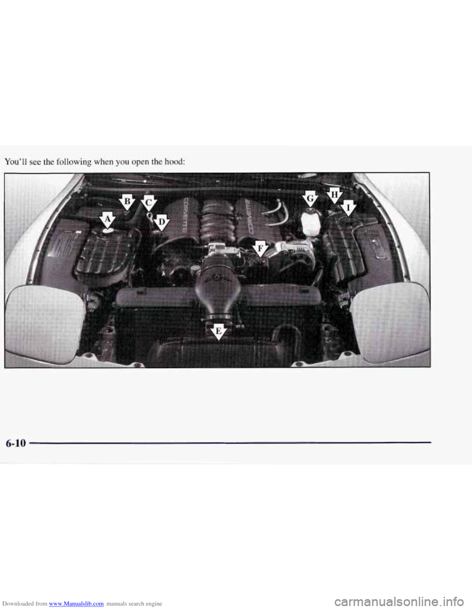CHEVROLET CORVETTE 1998 5.G Owners Manual Downloaded from www.Manualslib.com manuals search engine Youll see the following  when you open the hood: 
D! 
E 
6-10 
-~   
