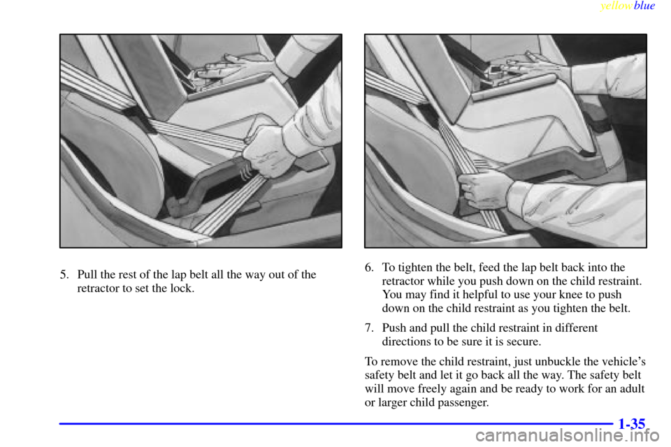 CHEVROLET CORVETTE 1999 5.G Owners Manual yellowblue     
1-35
5. Pull the rest of the lap belt all the way out of the
retractor to set the lock.6. To tighten the belt, feed the lap belt back into the
retractor while you push down on the chil