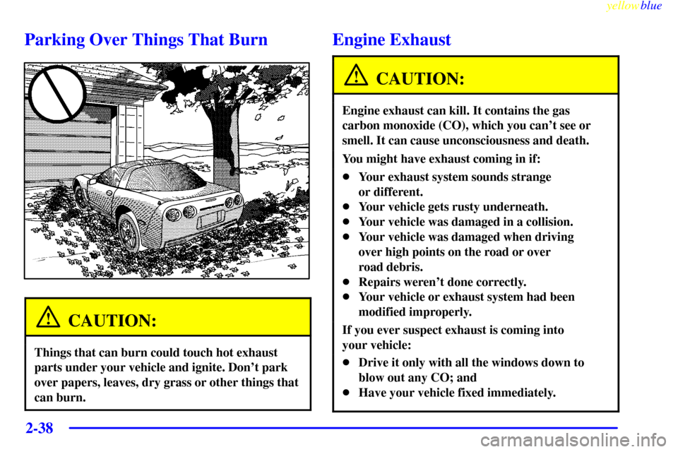 CHEVROLET CORVETTE 1999 5.G Owners Manual yellowblue     
2-38
Parking Over Things That Burn
CAUTION:
Things that can burn could touch hot exhaust
parts under your vehicle and ignite. Dont park
over papers, leaves, dry grass or other things 
