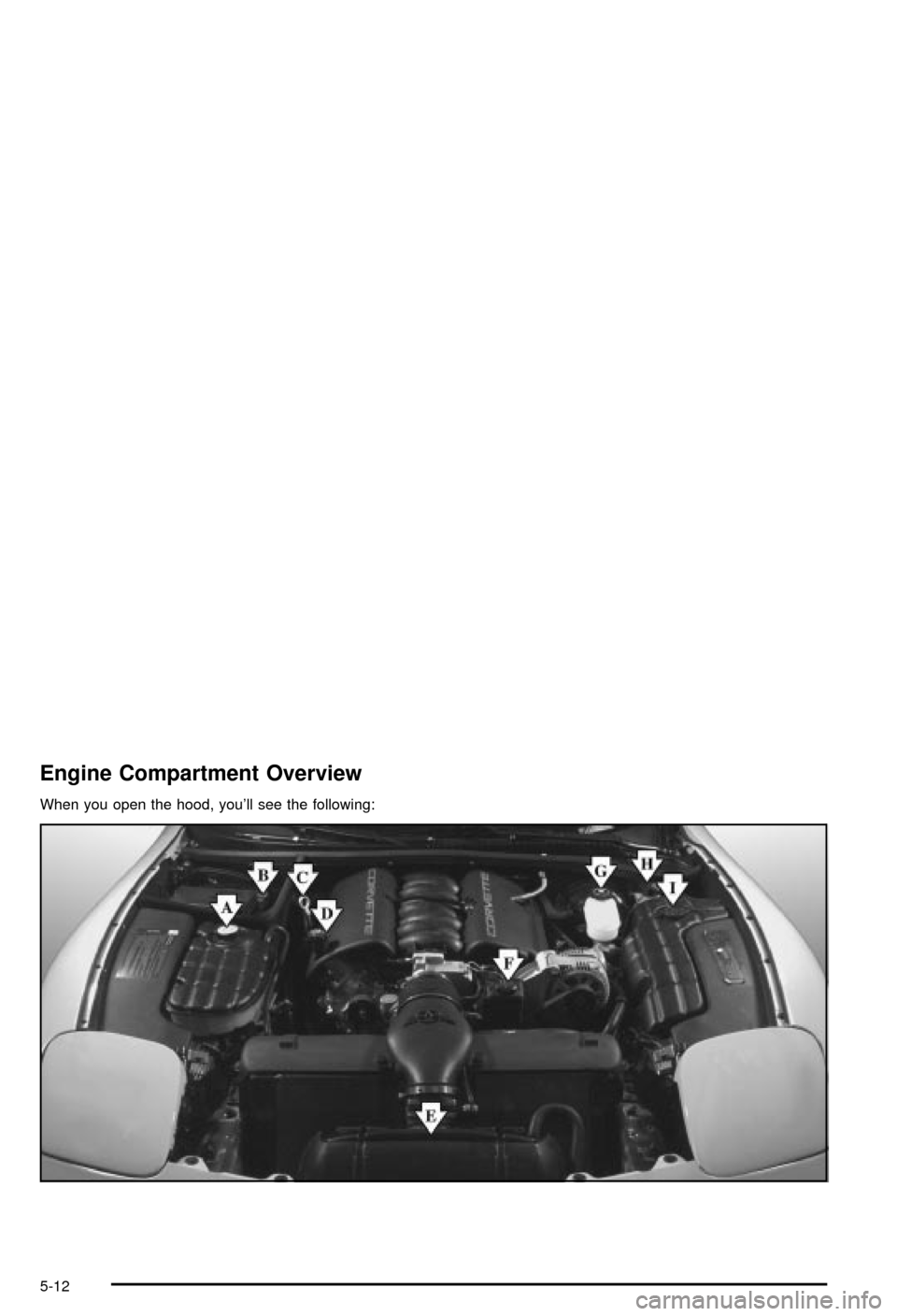 CHEVROLET CORVETTE 2003 5.G Owners Manual Engine Compartment Overview
When you open the hood, youll see the following:
5-12 