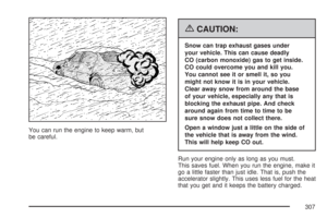 Page 307