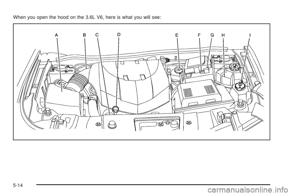 CHEVROLET EQUINOX 2008 1.G Owners Manual When you open the hood on the 3.6L V6, here is what you will see:
5-14 