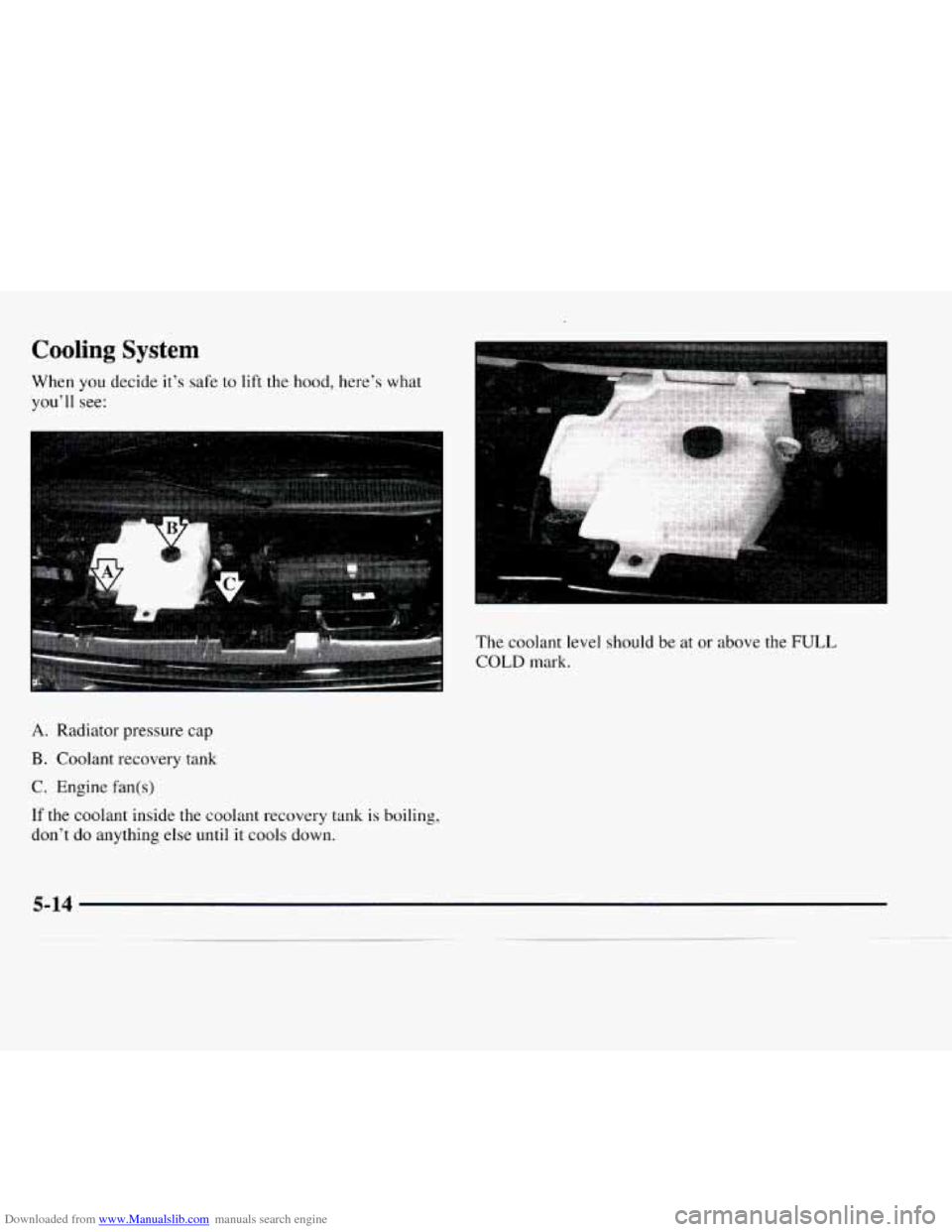 CHEVROLET EXPRESS 1997 1.G Owners Manual Downloaded from www.Manualslib.com manuals search engine Cooling System 
When you decide it’s safe to lift the  hood, here’s  what 
you’ll  see: 
A. Radiator pressure  cap 
B. Coolant recovery t