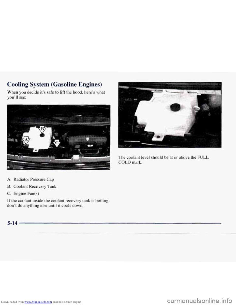 CHEVROLET EXPRESS 1998 1.G Owners Manual Downloaded from www.Manualslib.com manuals search engine Cooling  System  (Gasoline  Engines) 
When  you decide it’s safe to lift the hood, here’s  what 
you’ll  see: 
The coolant  level  should