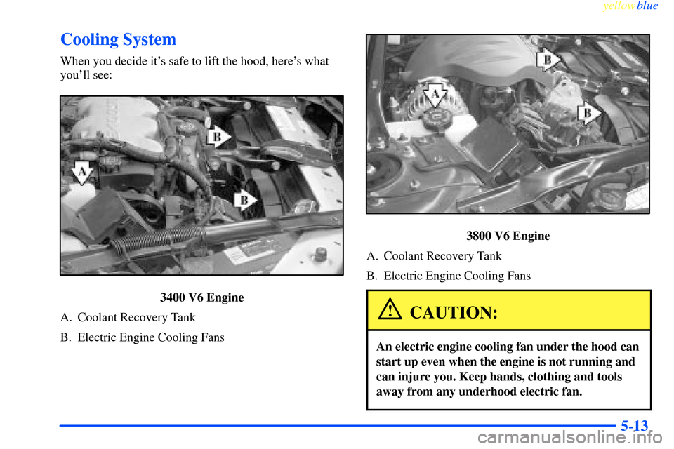 CHEVROLET IMPALA 2000 8.G Owners Manual yellowblue     
5-13
Cooling System
When you decide its safe to lift the hood, heres what
youll see:
3400 V6 Engine
A. Coolant Recovery Tank
B. Electric Engine Cooling Fans
3800 V6 Engine
A. Coolan