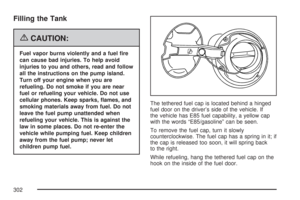 Page 302