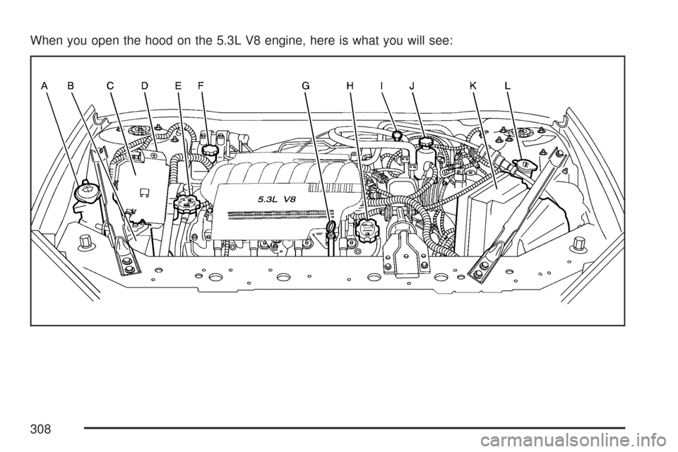 CHEVROLET IMPALA 2007 9.G Owners Manual When you open the hood on the 5.3L V8 engine, here is what you will see:
308 