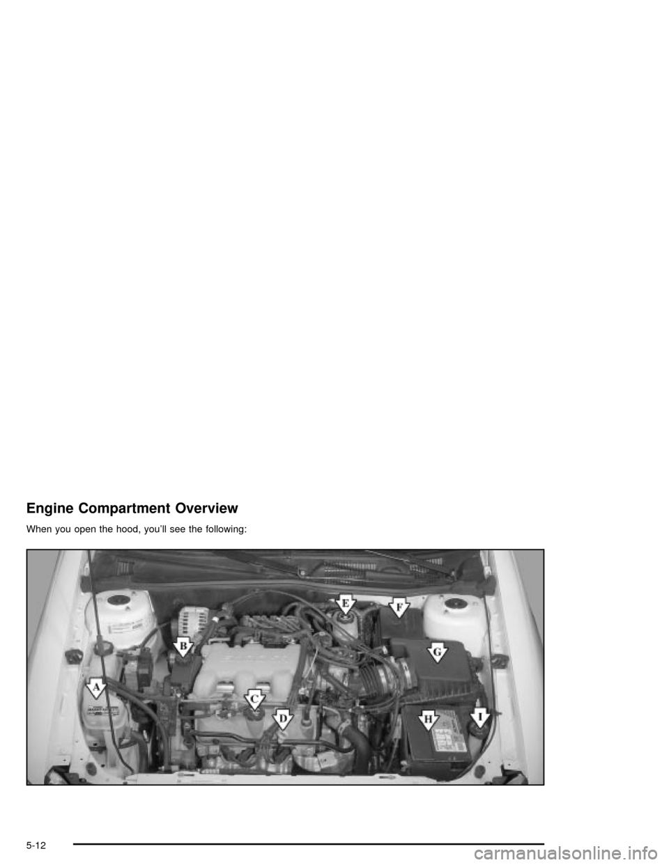 CHEVROLET MALIBU 2003 5.G Owners Manual Engine Compartment Overview
When you open the hood, youll see the following:
5-12 