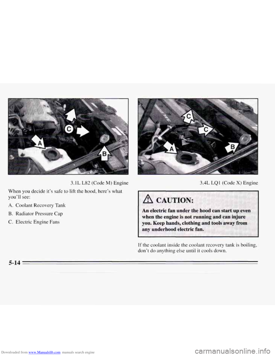 CHEVROLET MONTE CARLO 1995 5.G Owners Manual Downloaded from www.Manualslib.com manuals search engine 3.1L L82 (Code M) Engine 3.4L LQ 1 (Code X) Engine 
When  you  decide it’s safe  to  lift  the hood, here’s what 
you’ll see: 
A. Coolant