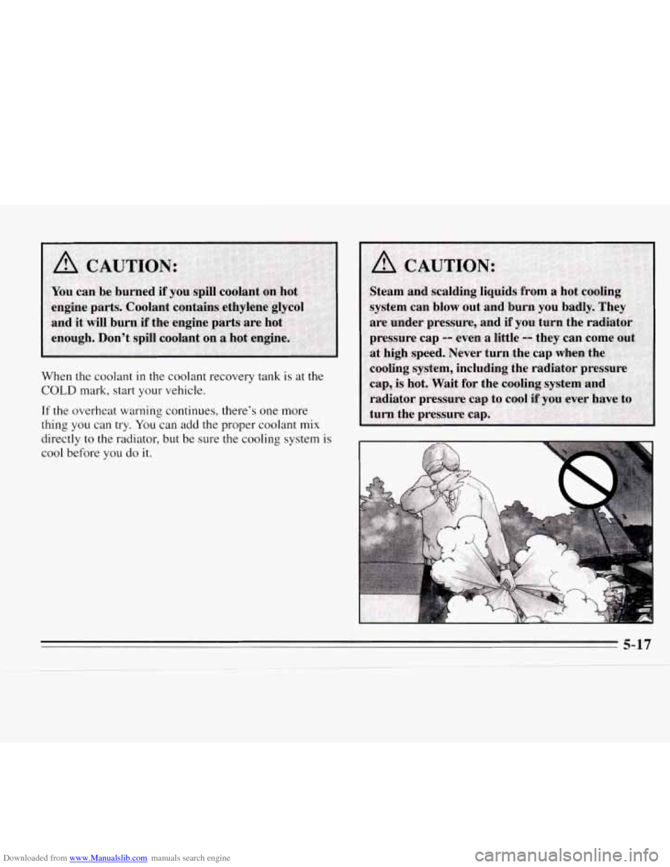 CHEVROLET MONTE CARLO 1995 5.G Owners Manual Downloaded from www.Manualslib.com manuals search engine When the coolant in the coolant  recovery  tank  is at the 
COLD mark, start your vehicle. 
If the  overheat warning continues,  theres one mo