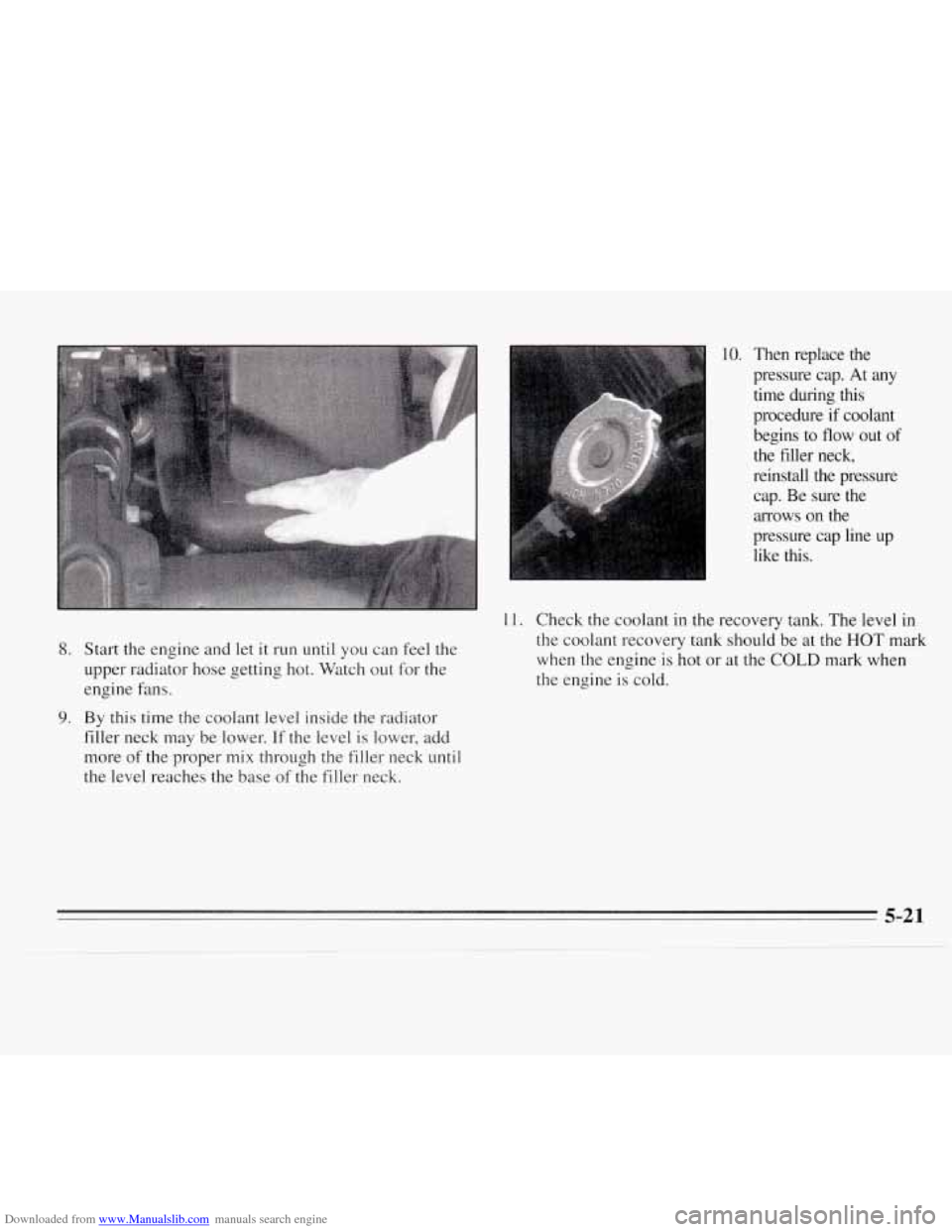 CHEVROLET MONTE CARLO 1995 5.G Owners Manual Downloaded from www.Manualslib.com manuals search engine 10. Then  replace  the 
pressure  cap. At  any 
time  during  this 
procedure  if coolant 
begins 
to flow  out of 
the  filler  neck, 
reinsta
