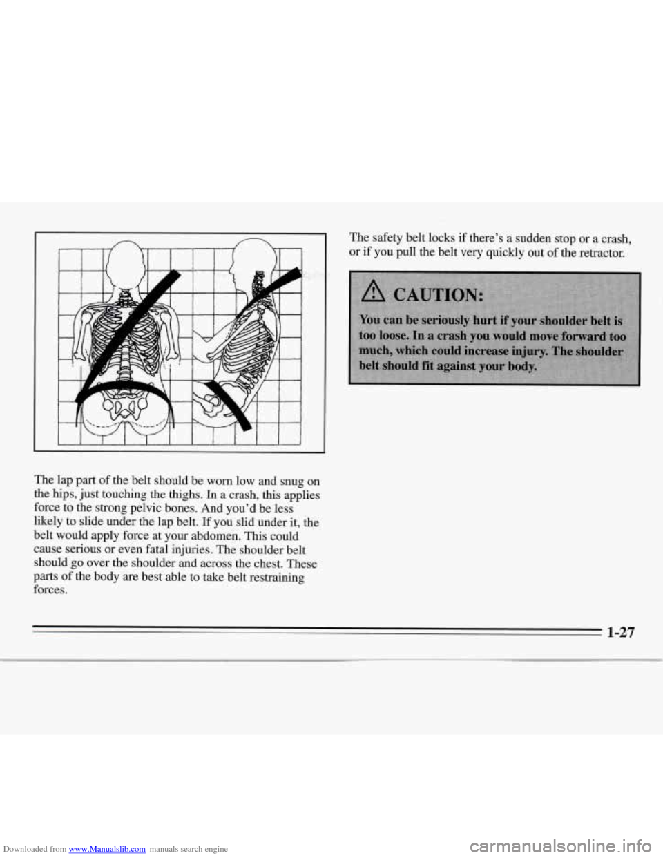 CHEVROLET MONTE CARLO 1995 5.G Owners Manual Downloaded from www.Manualslib.com manuals search engine The  lap  part of the  belt  should  be  worn low and snug on 
the  hips,  just touching  the  thighs. 
In a  crash,  this  applies 
force  to 