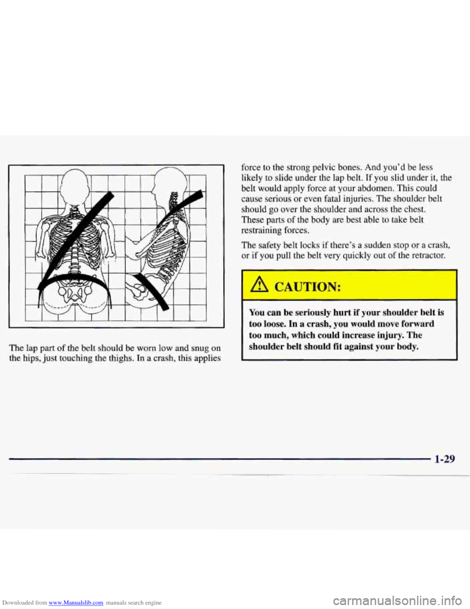 CHEVROLET MONTE CARLO 1997 5.G Owners Manual Downloaded from www.Manualslib.com manuals search engine The lap part of the belt should be worn low and snug  on 
the hips,  just touching  the thighs.  In a crash,  this applies  force 
to the stron