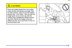 Page 219