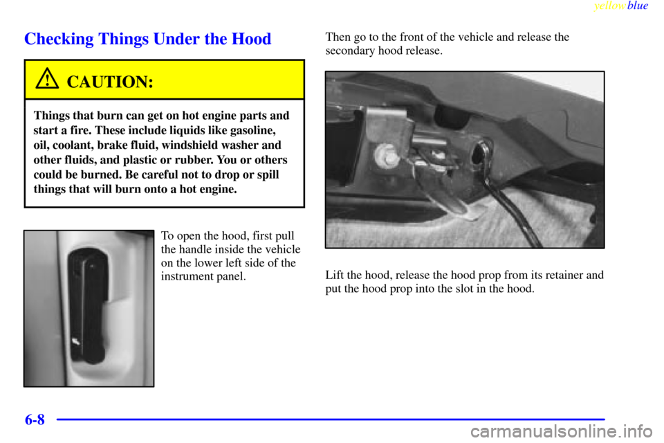 CHEVROLET S10 1999 2.G Owners Manual yellowblue     
6-8
Checking Things Under the Hood
CAUTION:
Things that burn can get on hot engine parts and
start a fire. These include liquids like gasoline,
oil, coolant, brake fluid, windshield wa
