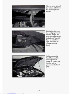 Page 225
