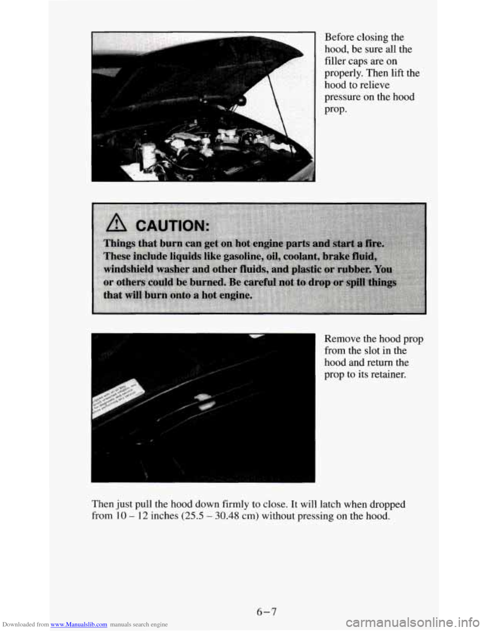 CHEVROLET S10 1995 2.G Owners Manual Downloaded from www.Manualslib.com manuals search engine c- bI 
Before closing the 
hood,  be  sure all the 
filler  caps are 
on 
properly.  Then lift the 
hood  to relieve 
pressure  on the  hood 
P