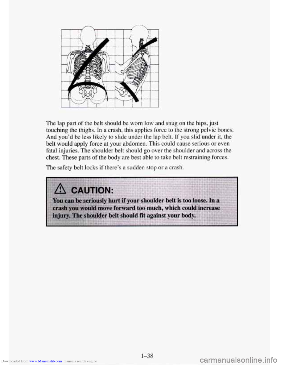 CHEVROLET TAHOE 1995 1.G Owners Manual Downloaded from www.Manualslib.com manuals search engine The  lap  part of the belt should be  worn low and snug on the hips,  just 
touching  the thighs. In 
a crash, this applies  force  to the stro