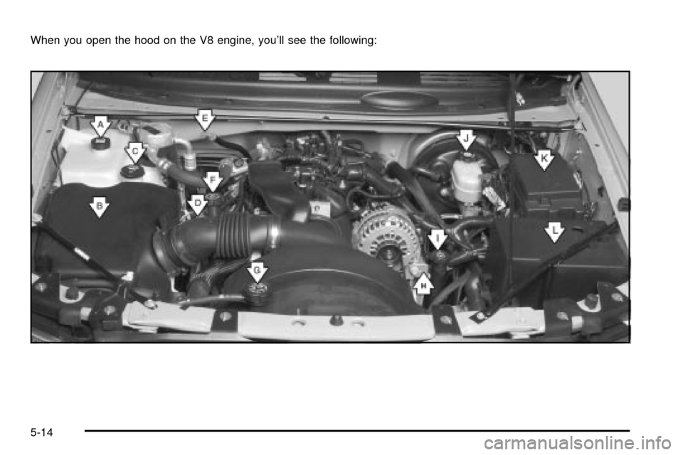 CHEVROLET TRAIL BLAZER 2003 1.G Owners Manual When you open the hood on the V8 engine, youll see the following:
5-14 