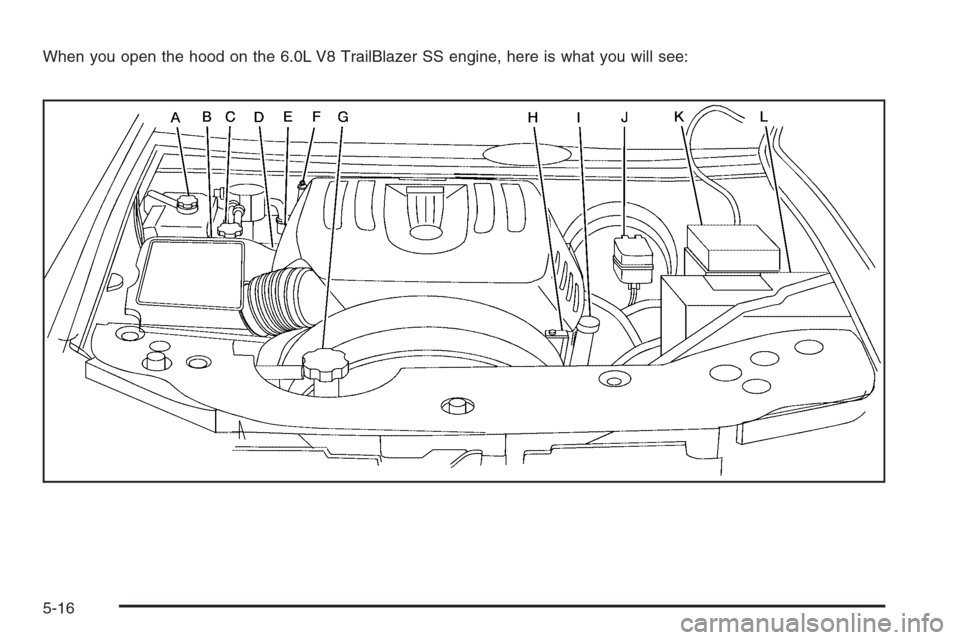 CHEVROLET TRAIL BLAZER 2008 1.G Owners Manual When you open the hood on the 6.0L V8 TrailBlazer SS engine, here is what you will see:
5-16 