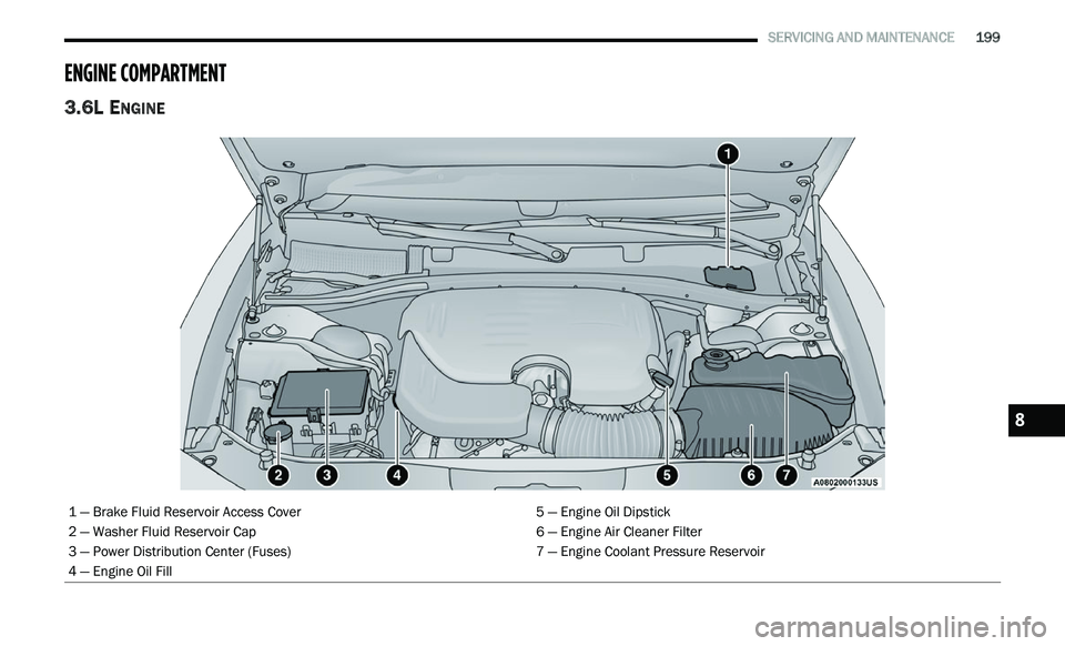 CHRYSLER 300 2021  Owners Manual 
   SERVICING AND MAINTENANCE       199
ENGINE COMPARTMENT  
3.6L ENGINE 
1 — Brake Fluid Reservoir Access Cover 5 — Engine Oil Dipstick
2 — Washer Fluid Reservoir Cap 6 — Engine Air Cleaner F