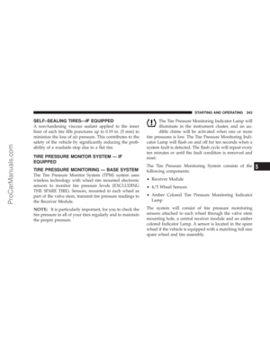 Page 243