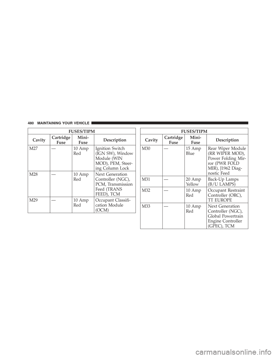 CHRYSLER TOWN AND COUNTRY 2009 5.G Owners Manual FUSES/TIPM
Cavity Cartridge
Fuse Mini-
Fuse Description
M27 — 10 Amp RedIgnition Switch
(IGN SW), Window
Module (WIN
MOD), PEM, Steer-
ing Column Lock
M28 — 10 Amp RedNext Generation
Controller (N