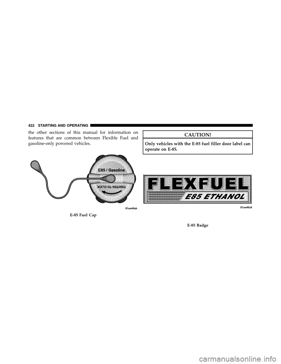 CHRYSLER TOWN AND COUNTRY 2011 5.G Owners Manual the other sections of this manual for information on
features that are common between Flexible Fuel and
gasoline-only powered vehicles.CAUTION!
Only vehicles with the E-85 fuel filler door label can
o