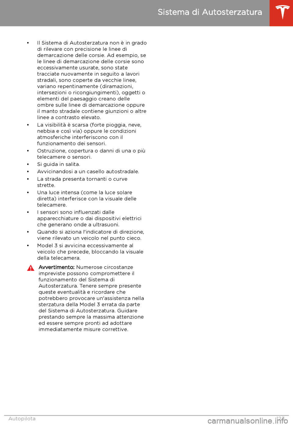 TESLA MODEL 3 2020  Manuale del proprietario (in Italian) 