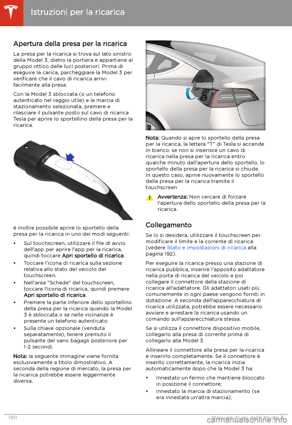 TESLA MODEL 3 2020  Manuale del proprietario (in Italian) Istruzioni per la ricarica
Apertura della presa per la ricarica
La presa per la ricarica si trova sul lato sinistro
della Model 3, dietro la portiera e appartiene al gruppo ottico delle luci posterior