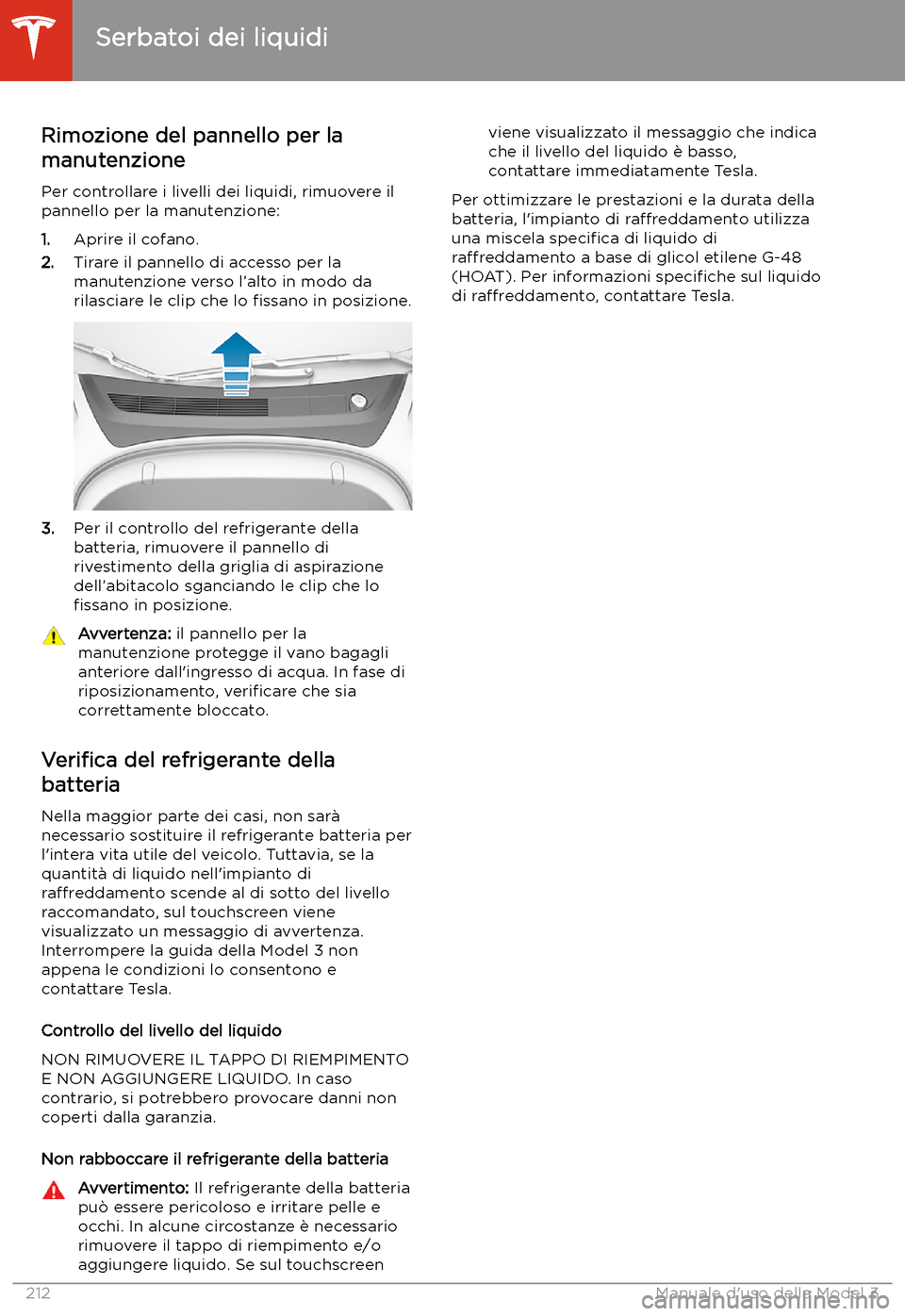 TESLA MODEL 3 2020  Manuale del proprietario (in Italian) Serbatoi dei liquidi
Rimozione del pannello per la
manutenzione
Per controllare i livelli dei liquidi, rimuovere il
pannello per la manutenzione:
1. Aprire il cofano.
2. Tirare il pannello di accesso 