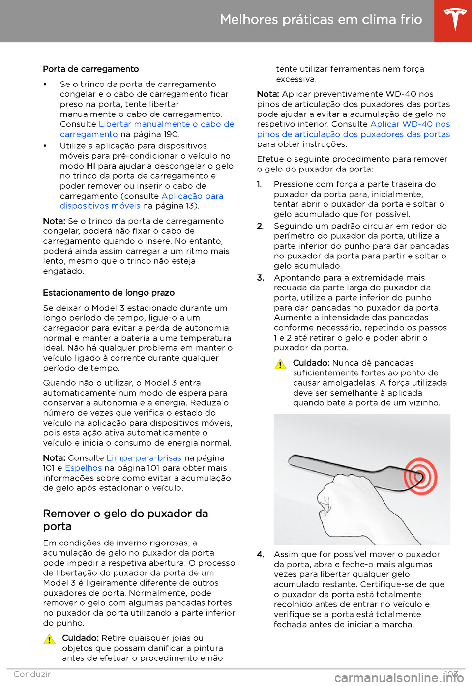 TESLA MODEL 3 2020  Manual do proprietário (in Portuguese) Porta de carregamento
