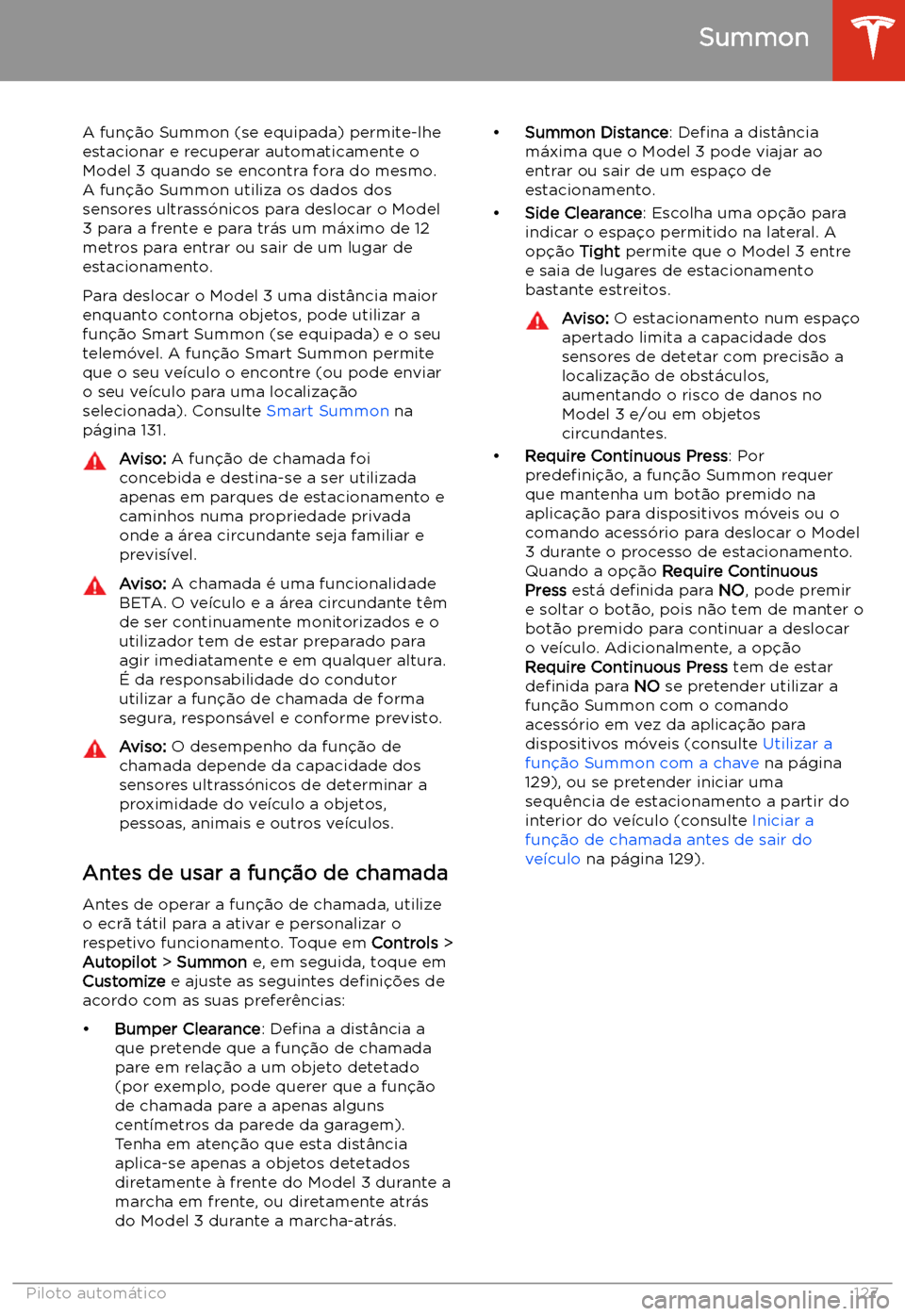 TESLA MODEL 3 2020  Manual do proprietário (in Portuguese) Summon
A fun