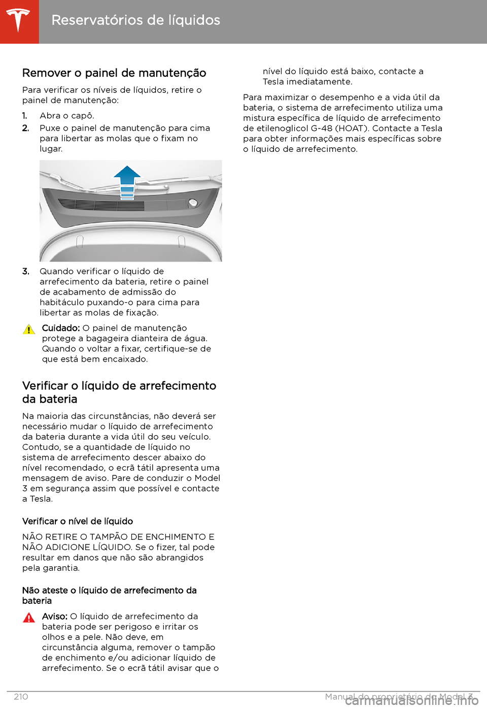 TESLA MODEL 3 2020  Manual do proprietário (in Portuguese) Reservat