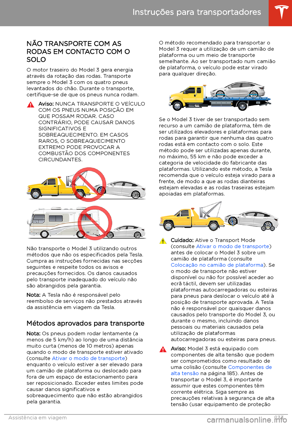 TESLA MODEL 3 2020  Manual do proprietário (in Portuguese) Instru