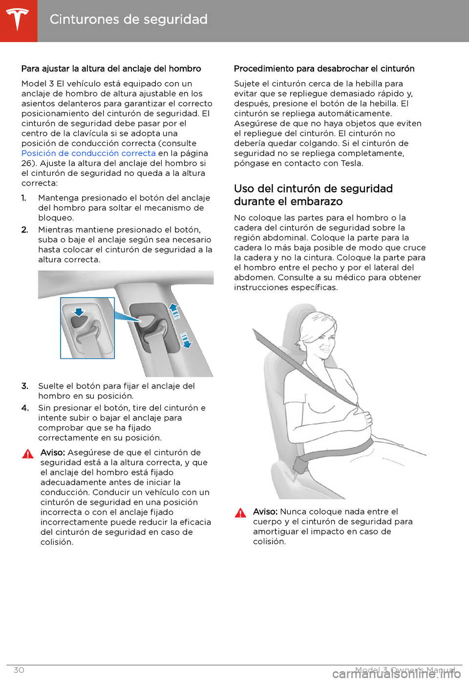 TESLA MODEL 3 2019  Manual del propietario (in Spanish)  Para ajustar la altura del anclaje del hombro
Model 3 El veh