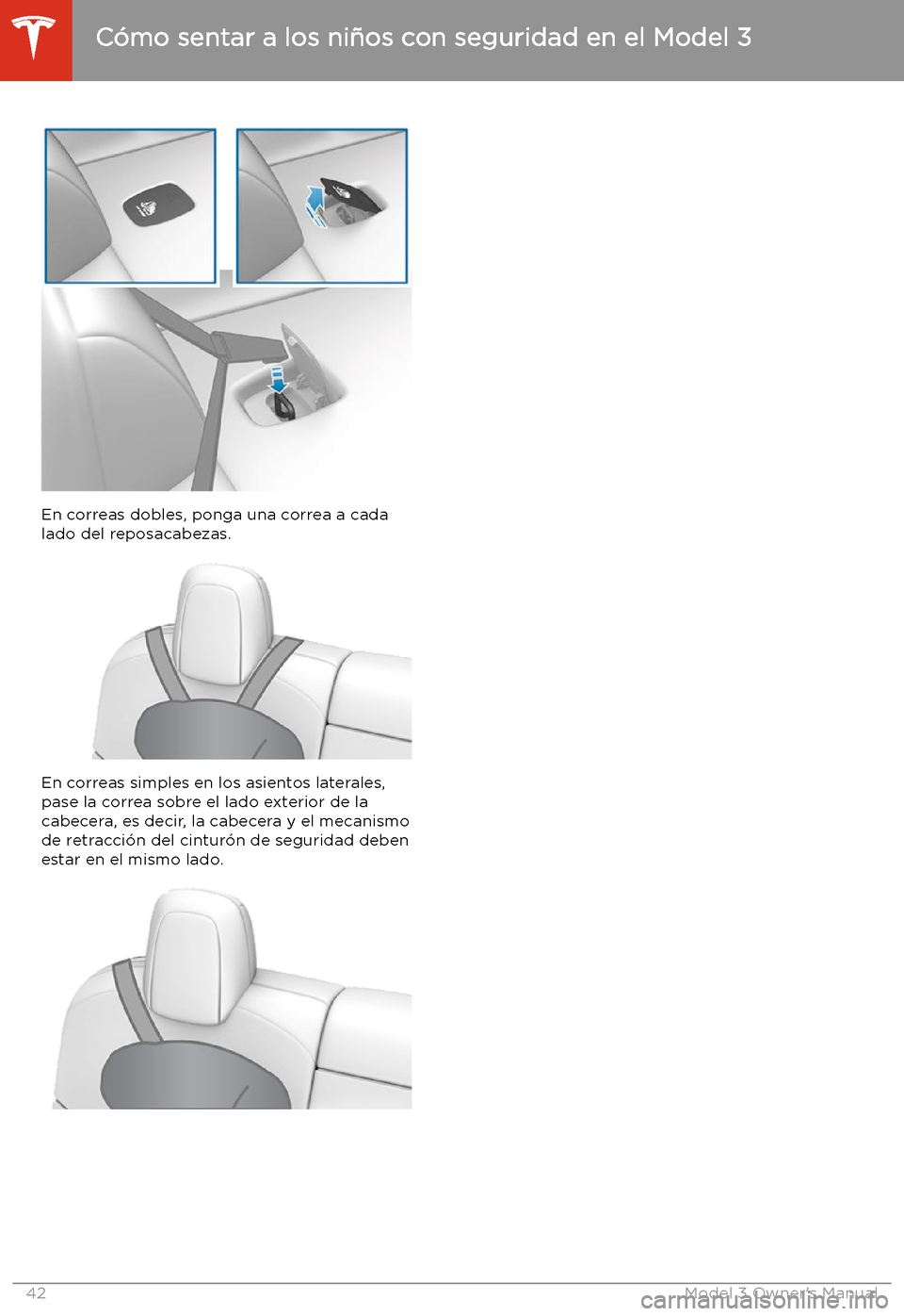 TESLA MODEL 3 2019  Manual del propietario (in Spanish)  En correas dobles, ponga una correa a cada
lado del reposacabezas.
En correas simples en los asientos laterales,
pase la correa sobre el lado exterior de la
cabecera, es decir, la cabecera y el mecani