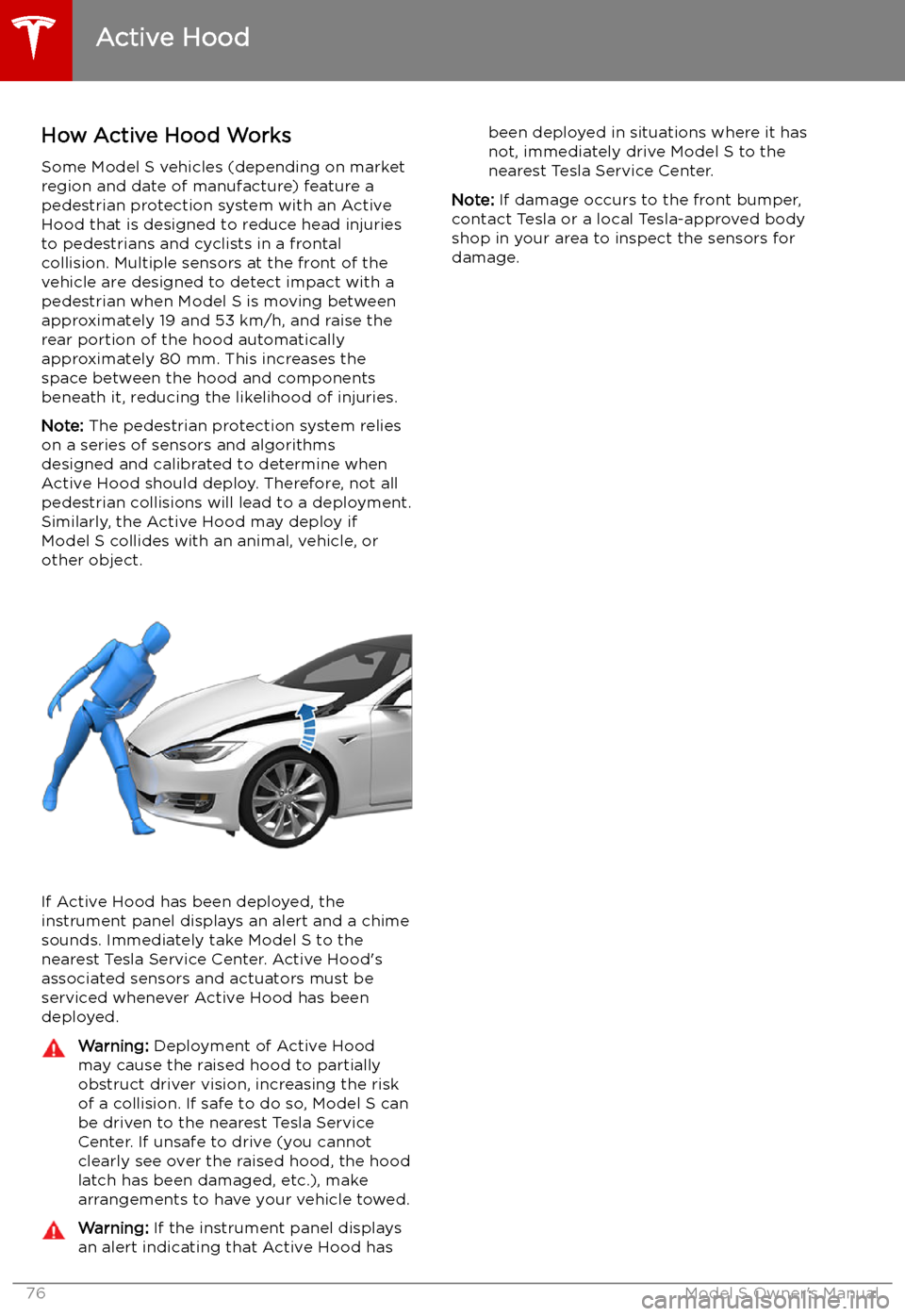 TESLA MODEL S 2019 Owners Manual Active Hood
How Active Hood Works Some Model S vehicles (depending on market
region and date of manufacture) feature a
pedestrian protection system with an Active
Hood that is designed to reduce head TESLA MODEL S 2019 Owners Manual Active Hood
How Active Hood Works Some Model S vehicles (depending on market
region and date of manufacture) feature a
pedestrian protection system with an Active
Hood that is designed to reduce head