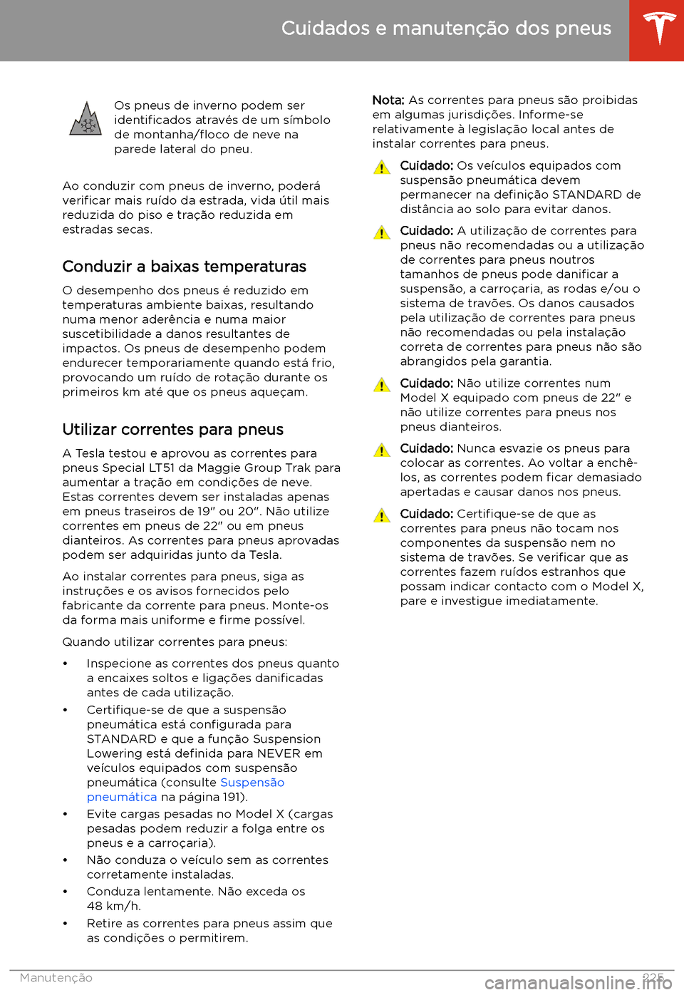 TESLA MODEL X 2020  Manual do proprietário (in Portuguese)  Os pneus de inverno podem ser
identi
