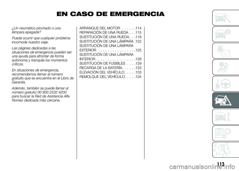 Alfa Romeo 4C 2016  Manual de Empleo y Cuidado (in Spanish) EN CASO DE EMERGENCIA
¿Un neumático pinchado o una
lámpara apagada?
Puede ocurrir que cualquier problema
incomode nuestro viaje.
Las páginas dedicadas a las
situaciones de emergencia pueden ser
un