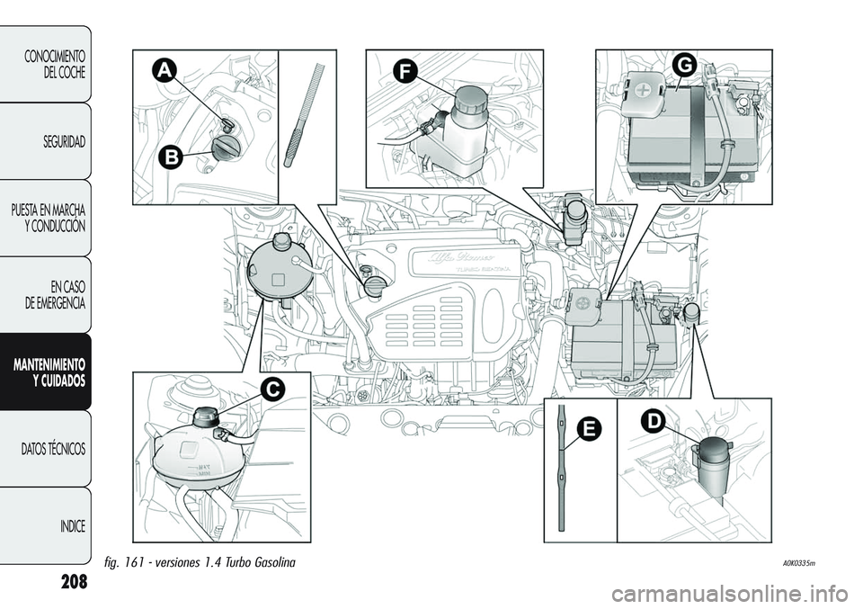Alfa Romeo Giulietta 2011  Manual de Empleo y Cuidado (in Spanish) 208
CONOCIMIENTO
DEL COCHE
SEGURIDAD
PUESTA EN MARCHA 
Y CONDUCCIÓN
EN CASO 
DE EMERGENCIA
MANTENIMIENTO
Y CUIDADOS
DATOS TÉCNICOS
INDICE
fig. 161 - versiones 1.4 Turbo GasolinaA0K0335m 