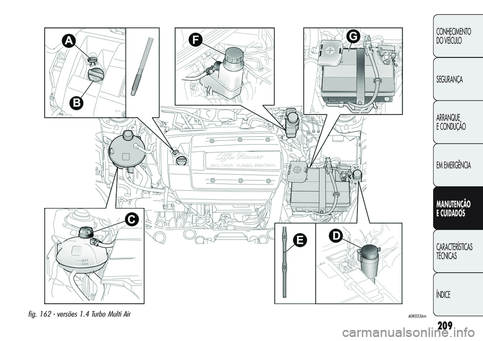 Alfa Romeo Giulietta 2011  Manual de Uso e Manutenção (in Portuguese) 209
CONHECIMENTO
DO VEÍCULO
SEGURANÇA
ARRANQUE
E CONDUÇÃO
EM EMERGÊNCIA
MANUTENÇÃO
E CUIDADOS
CARACTERÍSTICAS
TÉCNICAS
ÍNDICE
fig. 162 - versões 1.4 Turbo Multi AirA0K0336m 