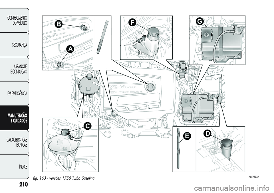 Alfa Romeo Giulietta 2011  Manual de Uso e Manutenção (in Portuguese) 210
CONHECIMENTO
DO VEÍCULO
SEGURANÇA
ARRANQUE
E CONDUÇÃO
EM EMERGÊNCIA
MANUTENÇÃO
E CUIDADOS
CARACTERÍSTICAS
TÉCNICAS
ÍNDICE
fig. 163 - versões 1750 Turbo GasolinaA0K0337m 