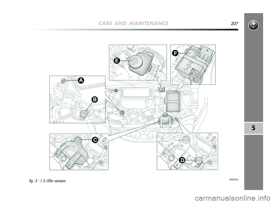 Alfa Romeo MiTo 2009  Owner handbook (in English) CARE AND MAINTENANCE207
5
A0J0326mfig. 3 - 1.3 JTDMversions
197-220 Alfa MiTo GB  12-11-2008  15:42  Pagina 207 