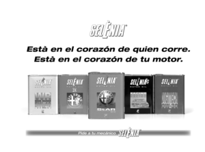 Page 247